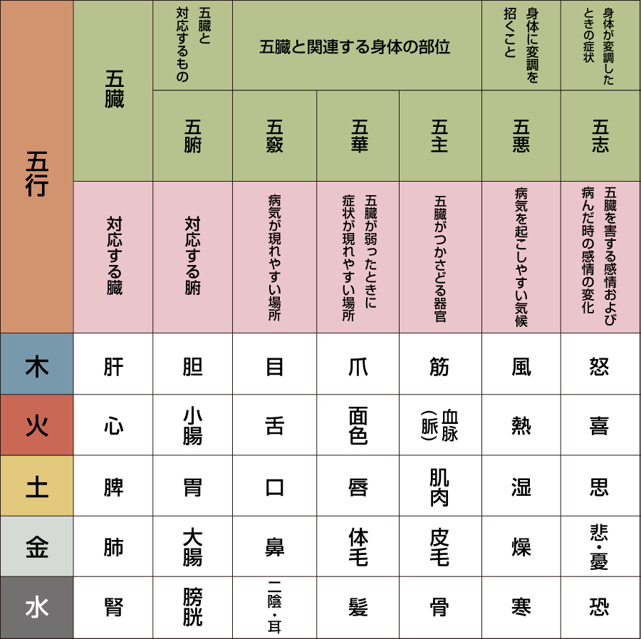 五行　木・火・土・金・水　五臓　対応する臓　肝・心・脾・肺・腎　五臓と対応するもの　五腑　対応する腑　胆・小腸・胃・大腸・膀胱　五臓と関連する身体の部位　五竅 病気が現れやすい場所　目・舌・口・鼻・二陰・耳　五華　五臓が弱ったときに症状が現れやすい場所　爪・面色・唇・体毛・髪　五主　五臓がつかさどる器官　筋・血脈（脈）・肌肉・皮毛・骨　身体に変調を招くこと　五悪　病気を起こしやすい気候　風・熱・湿・燥・寒　身体が変調したときの症状　五志　五臓を害する感情および病んだときの感情の変化　怒・喜・思・悲・憂・恐