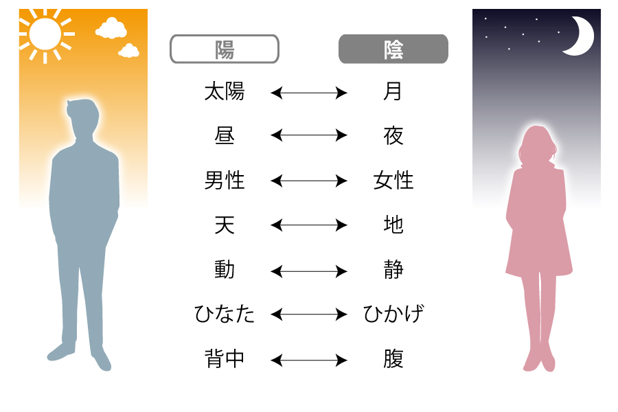 陰　月・夜・女性・地・静・ひかげ・腹　陽 太陽・昼・男性・天・動・ひなた・背中