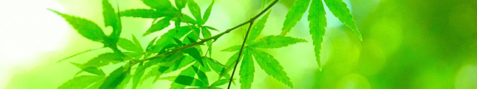 医心堂　鍼灸・整体院　札幌市中央区